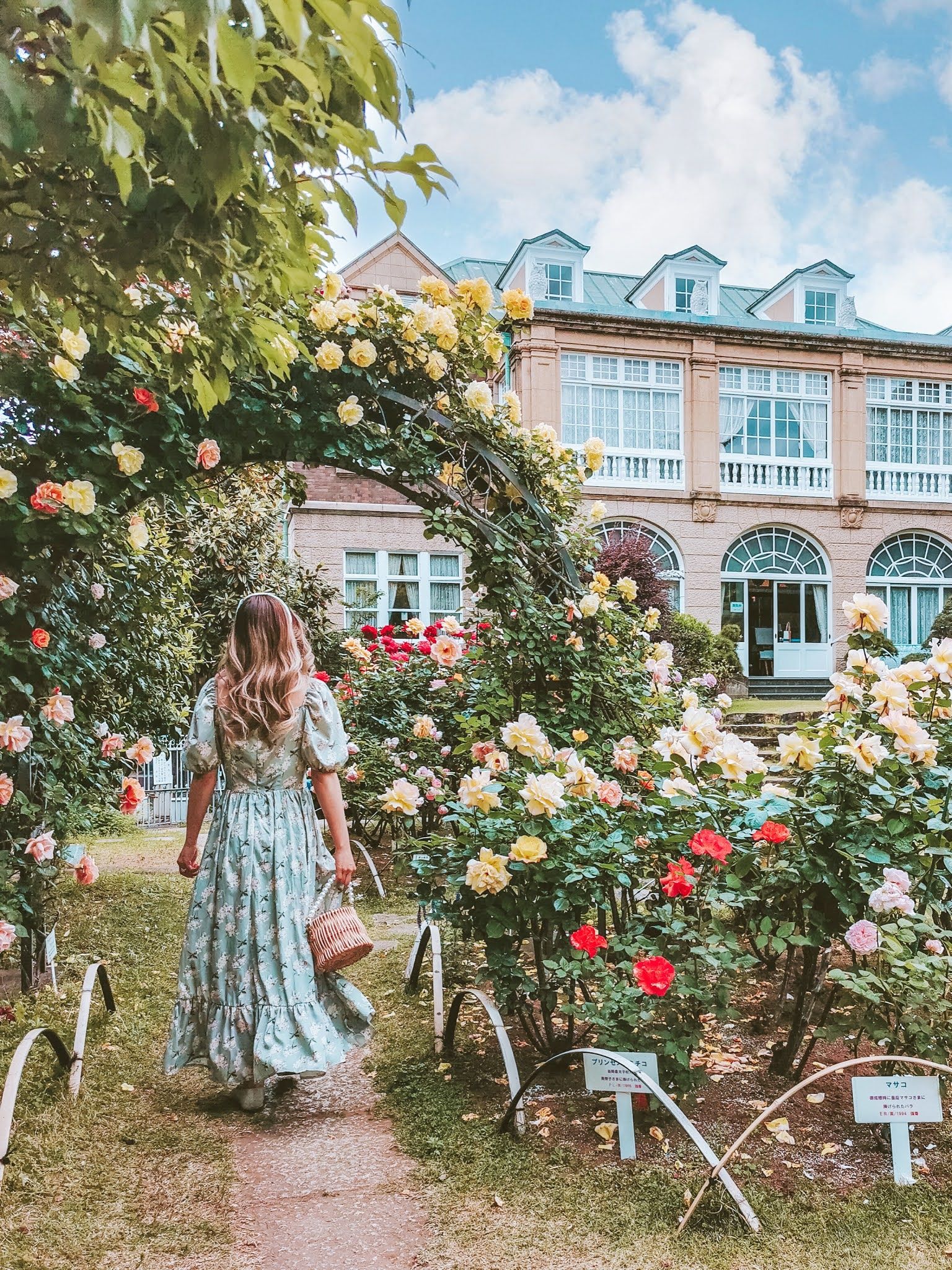 🏛️ 하토야마 회관 (鳩山会館) 이미지 6